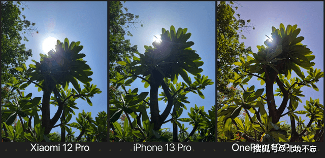 小米12Pro、iPhone13Pro、一加10Pro影像比拼<strong></p>
<p>火币Pro</strong>，国产手机还需努力