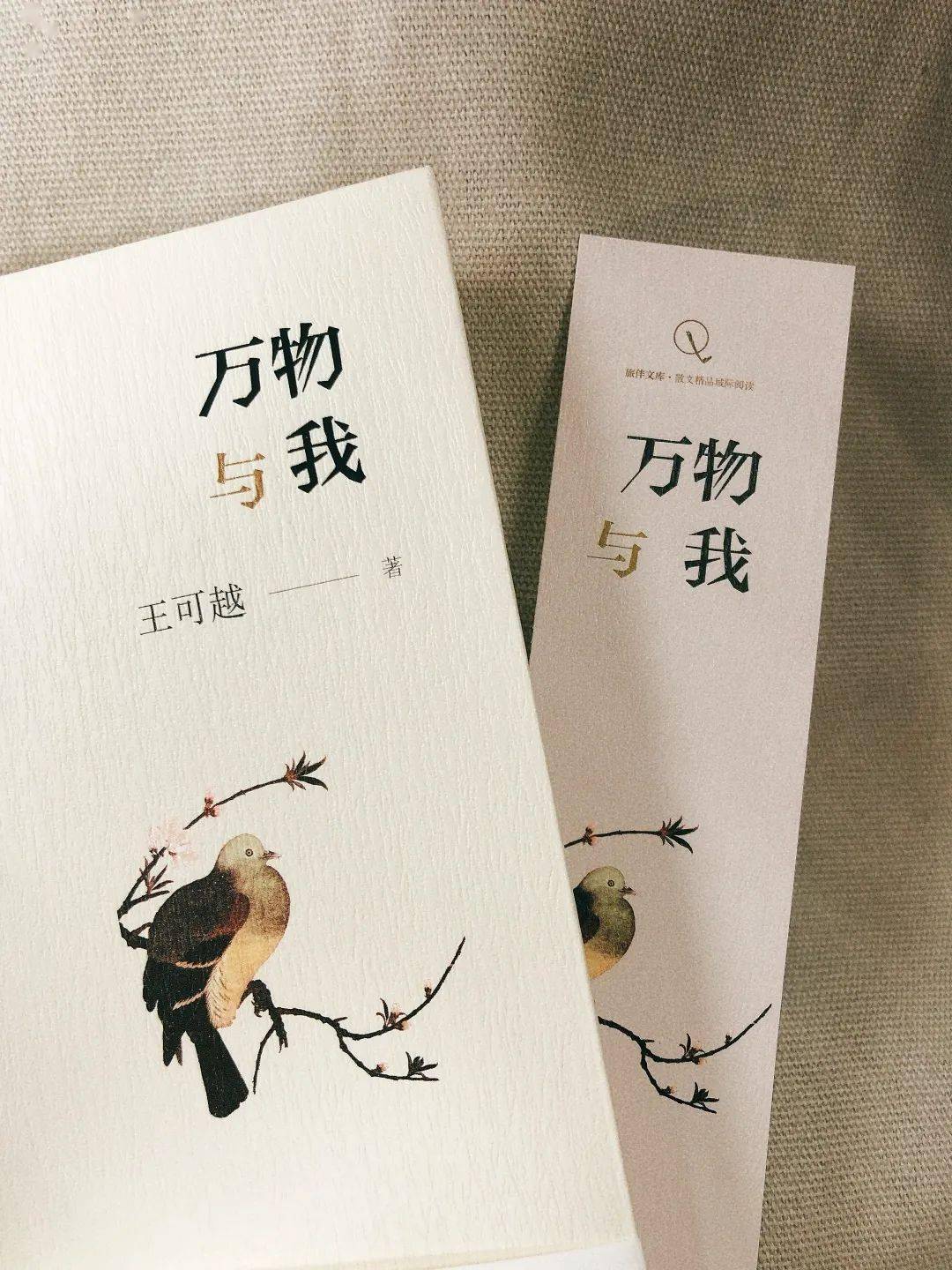 我遇见万物<strong></p>
<p>币物</strong>，万物也是我的笔记 | 《万物与我》