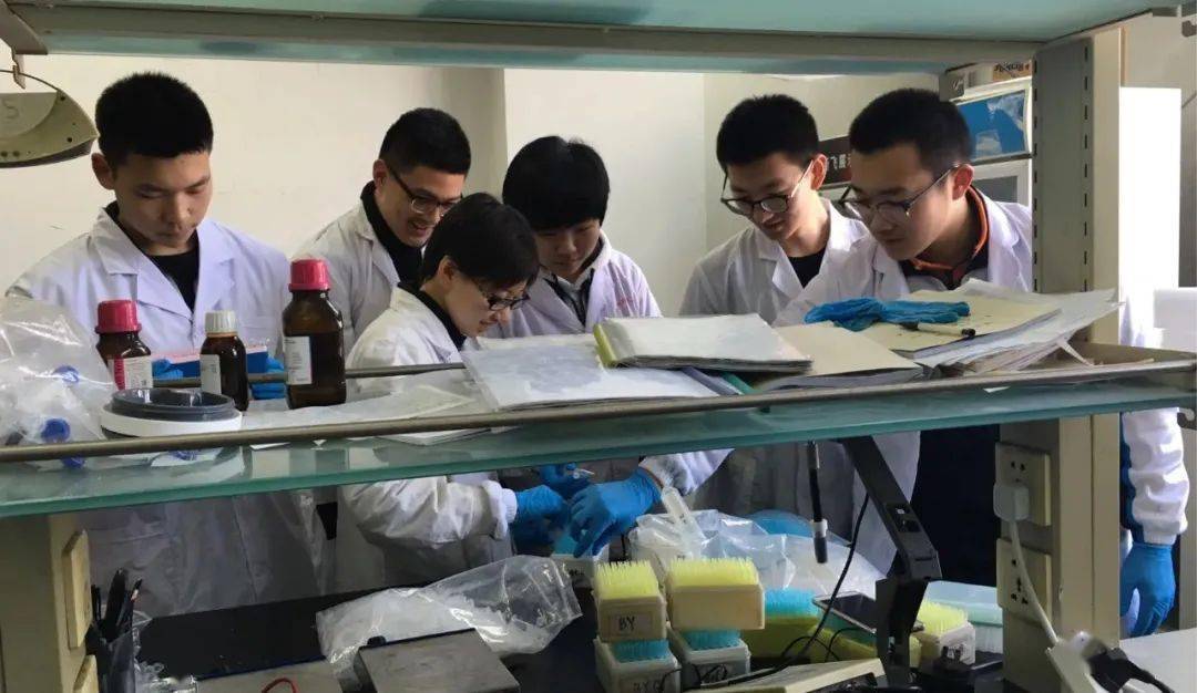 你P不P<strong></p>
<p>p网提币</strong>？P! 这些“科研界行话”你知道吗？