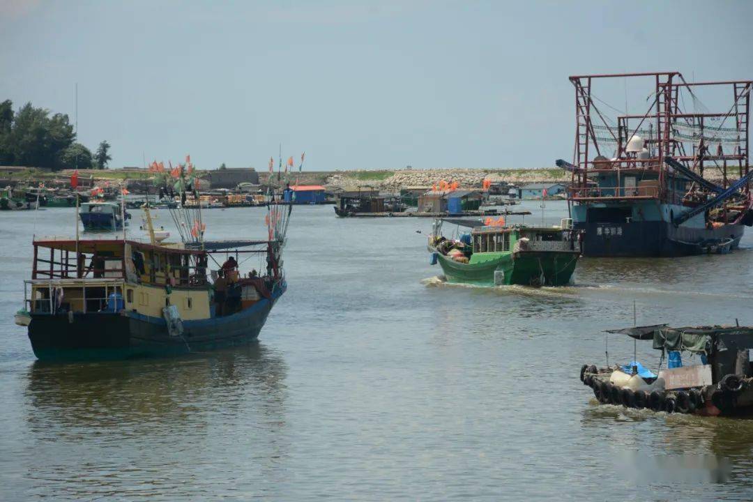 开<strong></p>
<p>海币</strong>！海！啦！