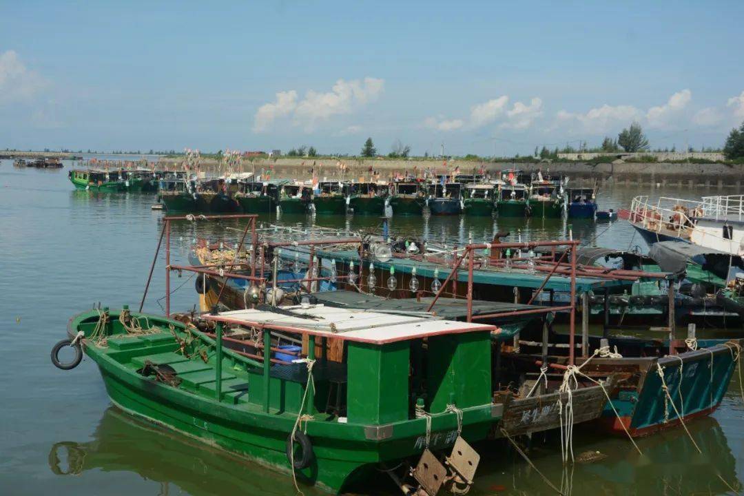 开<strong></p>
<p>海币</strong>！海！啦！
