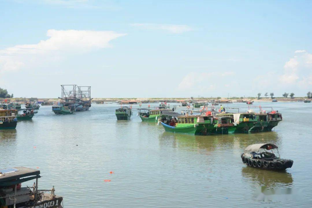 开<strong></p>
<p>海币</strong>！海！啦！