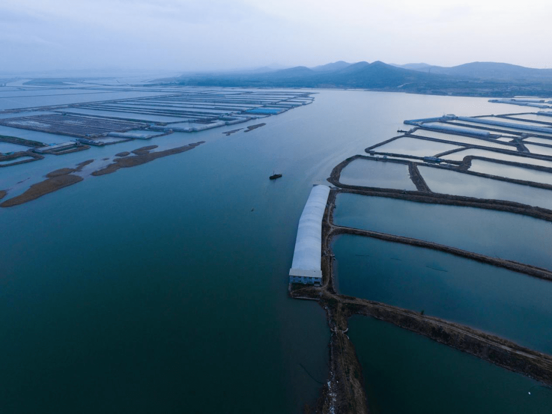 今天<strong></p>
<p>海币</strong>，大连的海该这样了解