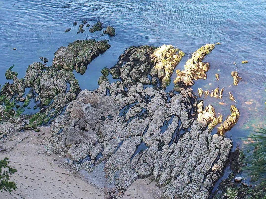 今天<strong></p>
<p>海币</strong>，大连的海该这样了解