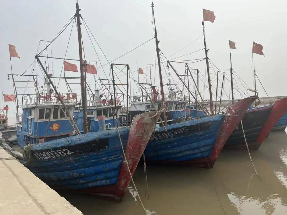 天津最后的渔村：靠海吃海<strong></p>
<p>海币</strong>，更要“养海”