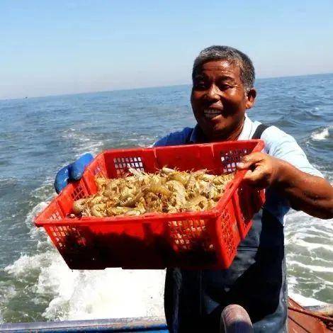 天津最后的渔村：靠海吃海<strong></p>
<p>海币</strong>，更要“养海”