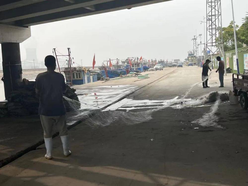 天津最后的渔村：靠海吃海<strong></p>
<p>海币</strong>，更要“养海”