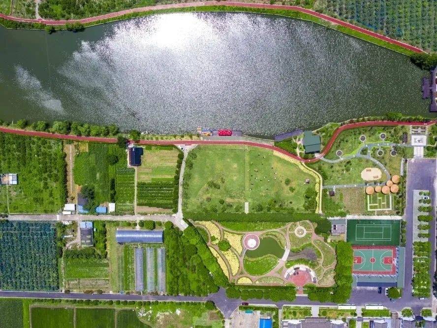 崇明这个村为啥能成为一个“宝藏村”