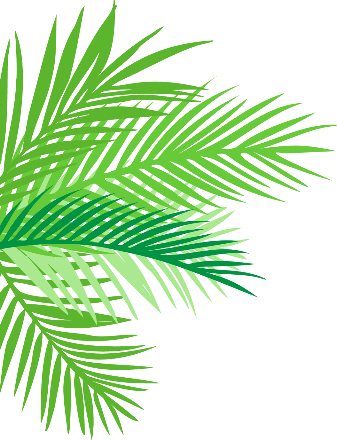 【援滇】前方连线<strong></p>
<p>滇币</strong>！援滇医疗队半月工作纪实
