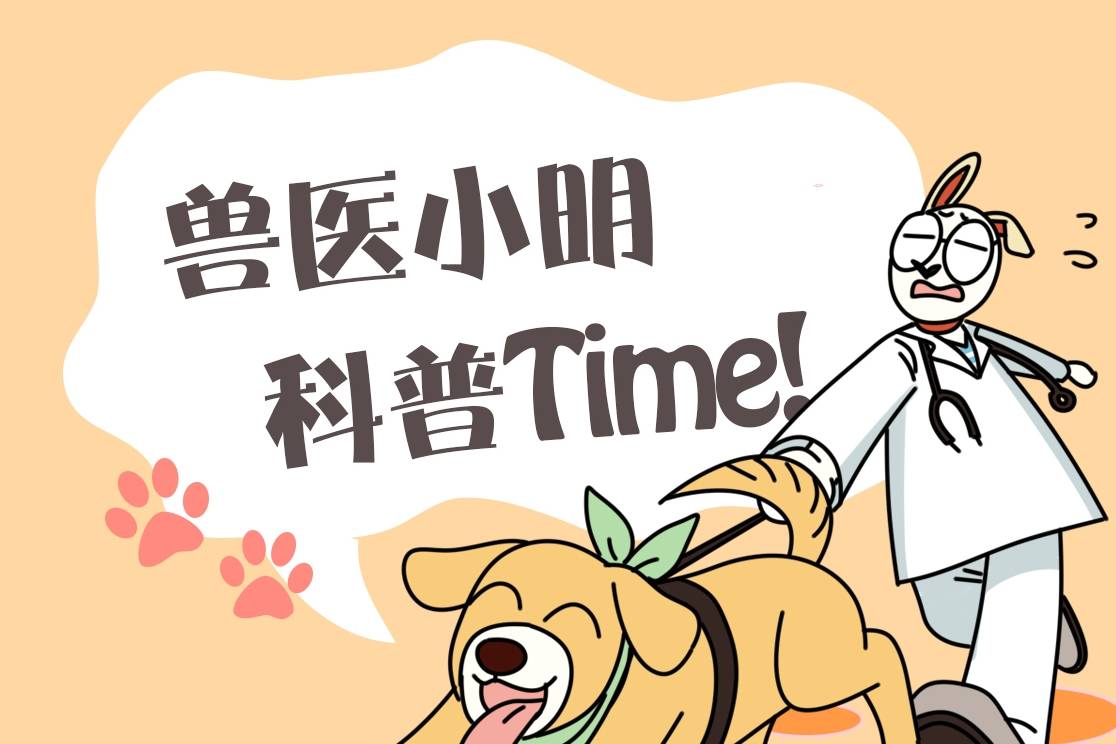 小区里看见一只流浪猫<strong></p>
<p>币猫</strong>，朋友看见照片后打来电话：行走的人民币呀