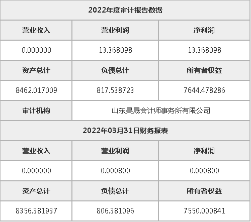 山东水发玲泰置业有限公司51%股权及3085.05万元债权