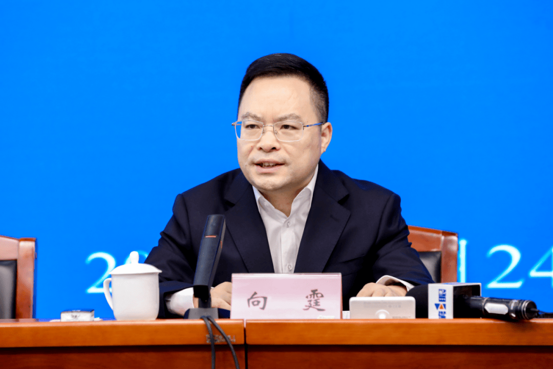 中央巡视期间<strong></p>
<p>波音</strong>，向霆被查