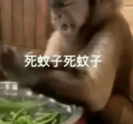 能不能让蚊子彻底灭绝啊<strong></p>
<p>波音</strong>？科学家：正在努力