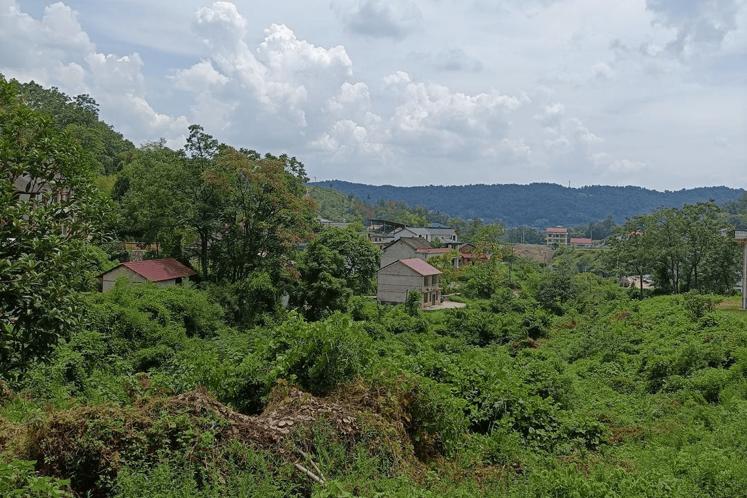 一个正厅一个副处<strong></p>
<p>美股pg</strong>，两名“蔡光辉”落马竟是亲兄弟，父亲称长子曾改名|红星调查