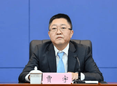 厅官贾宇<strong></p>
<p>美股</strong>，官宣落马