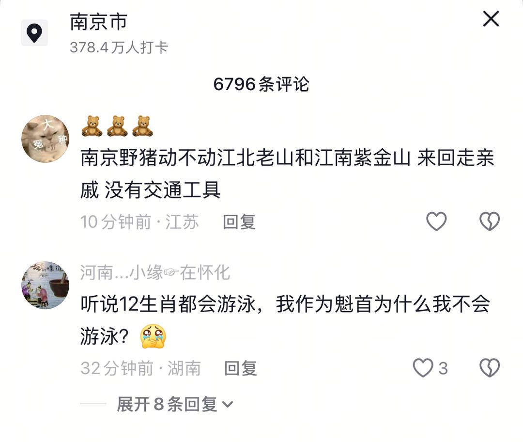 南京六头野猪组队渡长江<strong></p>
<p>美股</strong>，网友：天蓬元帅天上管水军的