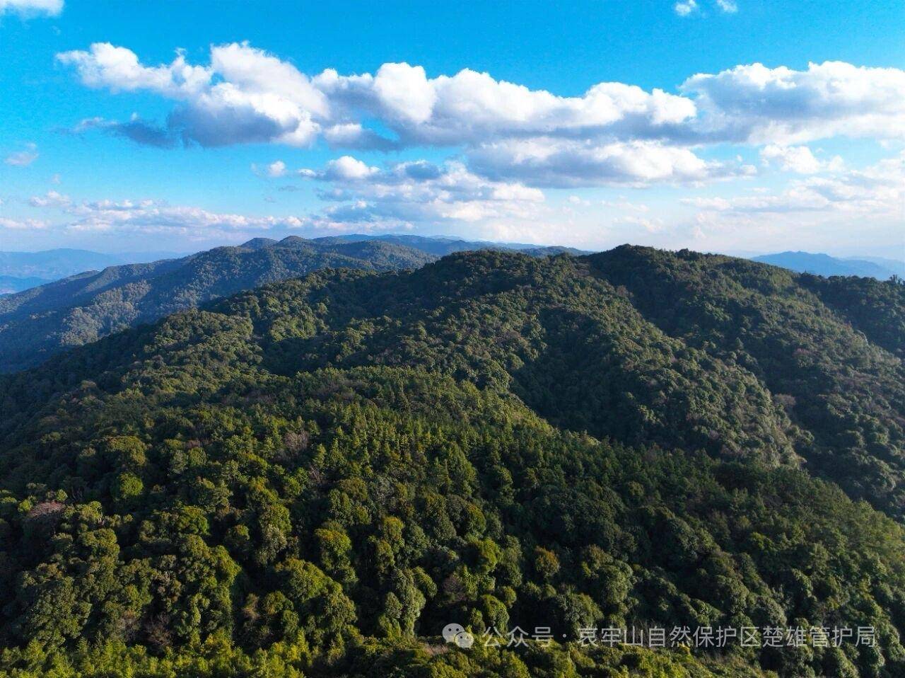 云南哀牢山新规出台：禁止任何单位和个人擅入哀牢山自然保护区<strong></p>
<p>中资美股</strong>，从事科研活动须报批