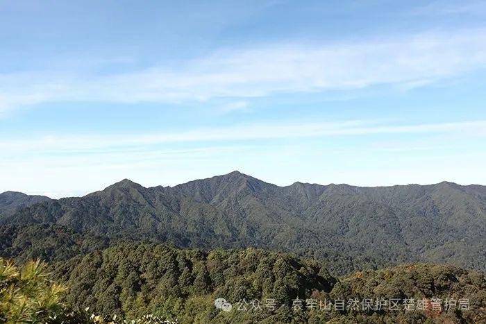 云南哀牢山新规出台：禁止任何单位和个人擅入哀牢山自然保护区<strong></p>
<p>中资美股</strong>，从事科研活动须报批