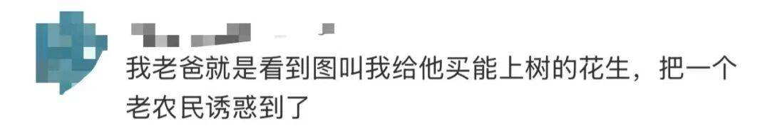 “花生上树”闹剧：AI翻车背后<strong></p>
<p>美股sbux</strong>，我们都在弄丢常识？