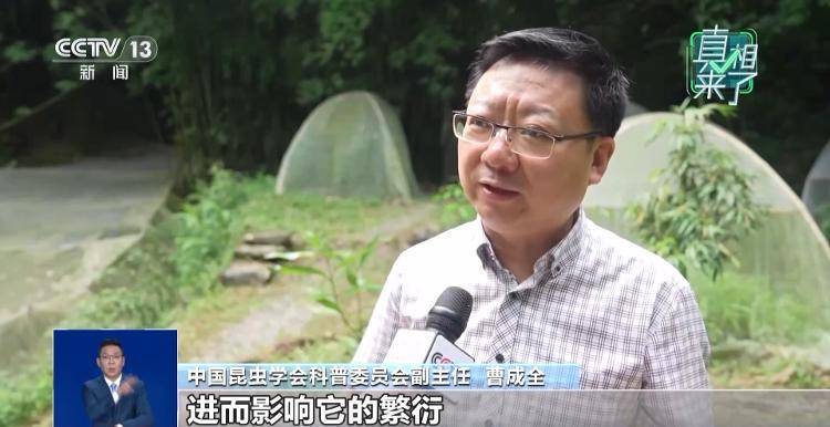 网传萤火虫濒临灭绝<strong></p>
<p>美股MU股票</strong>，是真的吗？