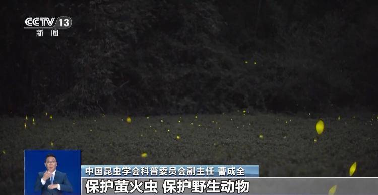 网传萤火虫濒临灭绝<strong></p>
<p>美股MU股票</strong>，是真的吗？
