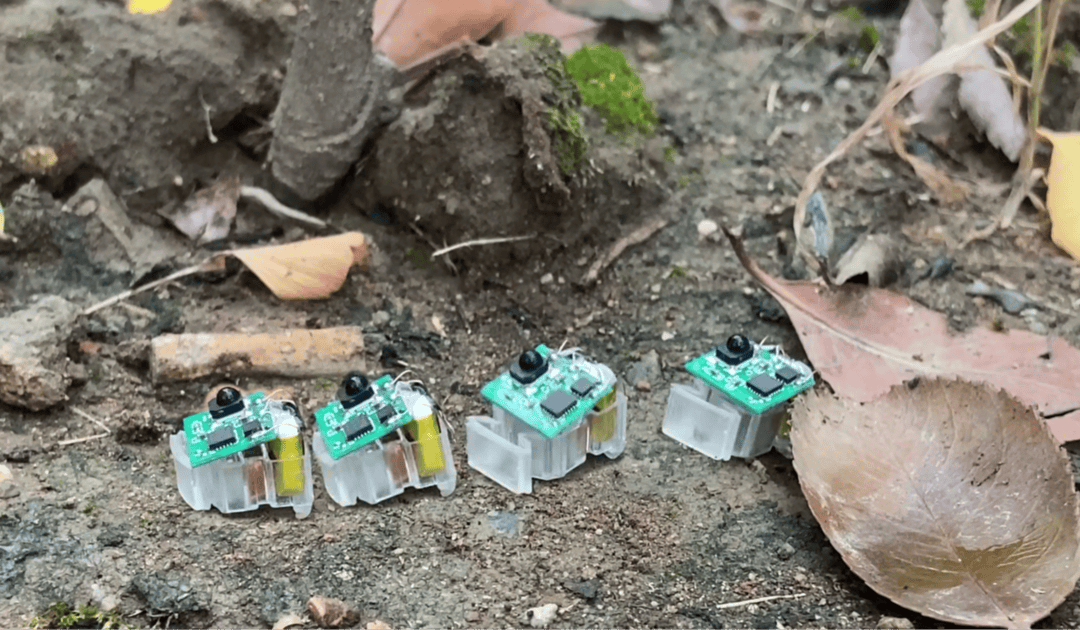 西湖大学研发昆虫尺度软体机器人：能爬能游又抗摔<strong></p>
<p>美股被高估</strong>，“机器小强”为什么强
