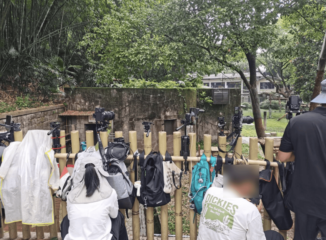 “室友天天在宿舍直播”<strong></p>
<p>美股期权价格</strong>，这届大学生的隐私无处可藏