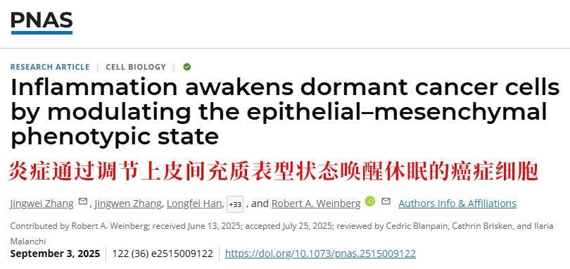 长期炎症会“唤醒”癌细胞<strong></p>
<p>美股期权价格</strong>！这份抗炎指南每个人都该看看