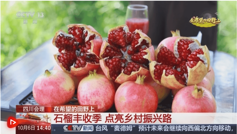 产销两旺<strong></p>
<p>美股大单</strong>！“小特产”变身变身乡村振兴“致富果” 激活“甜蜜经济”新热力