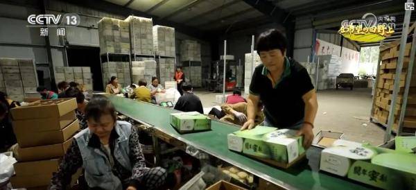 产销两旺<strong></p>
<p>美股大单</strong>！“小特产”变身变身乡村振兴“致富果” 激活“甜蜜经济”新热力