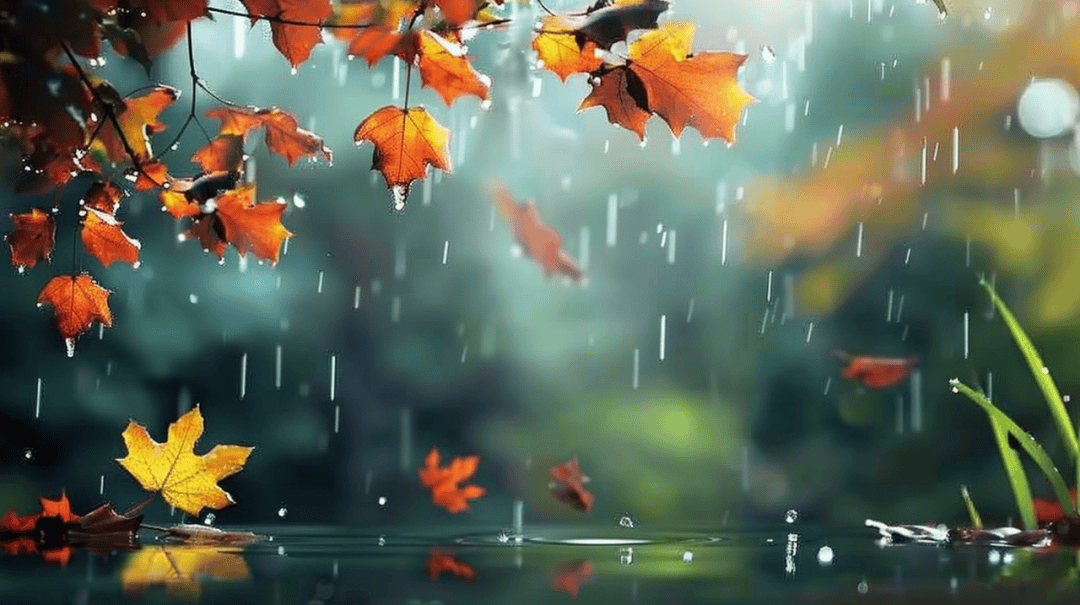 寒露遇雨！北京开启湿冷魔法攻击<strong></p>
<p>美股回调</strong>，防雨保暖安排上（2025-10-8）