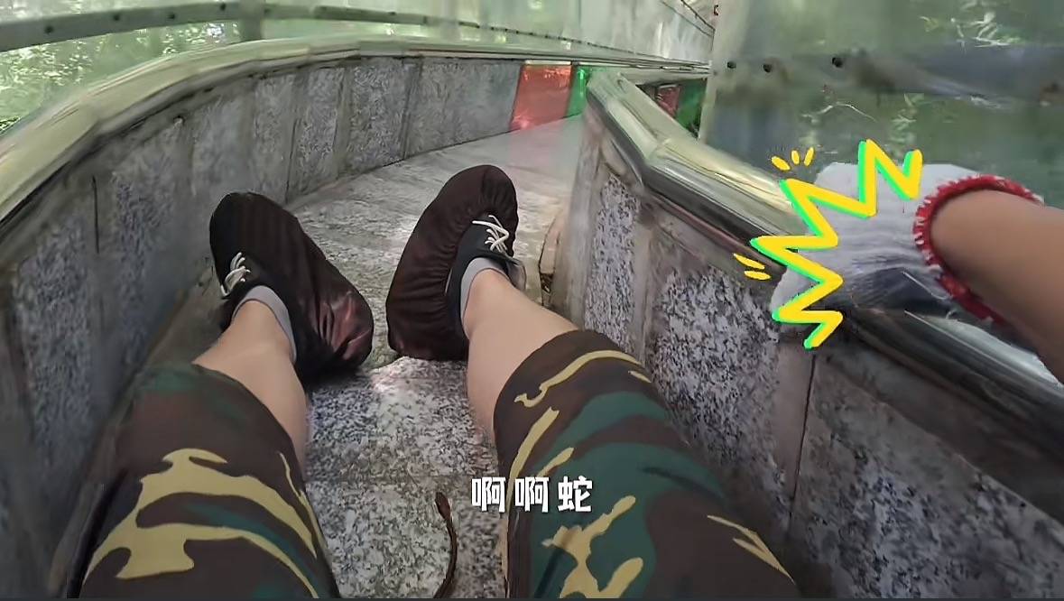 游客称在广西丹炉山滑道遇蛇<strong></p>
<p>美股佣金高</strong>，景区致歉：这么多年就这一次，每年都做防蛇处理
