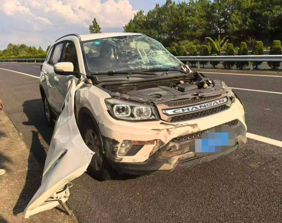 “我撒谎天打雷劈！”男子高速突然强行变道致翻车<strong></p>
<p>炒美股违法</strong>，反诬赖对方