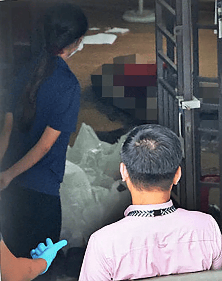 新加坡现双尸案：父亲成白骨<strong></p>
<p>炒美股违法</strong>，剑桥博士女儿疑饿死，一家来自东北