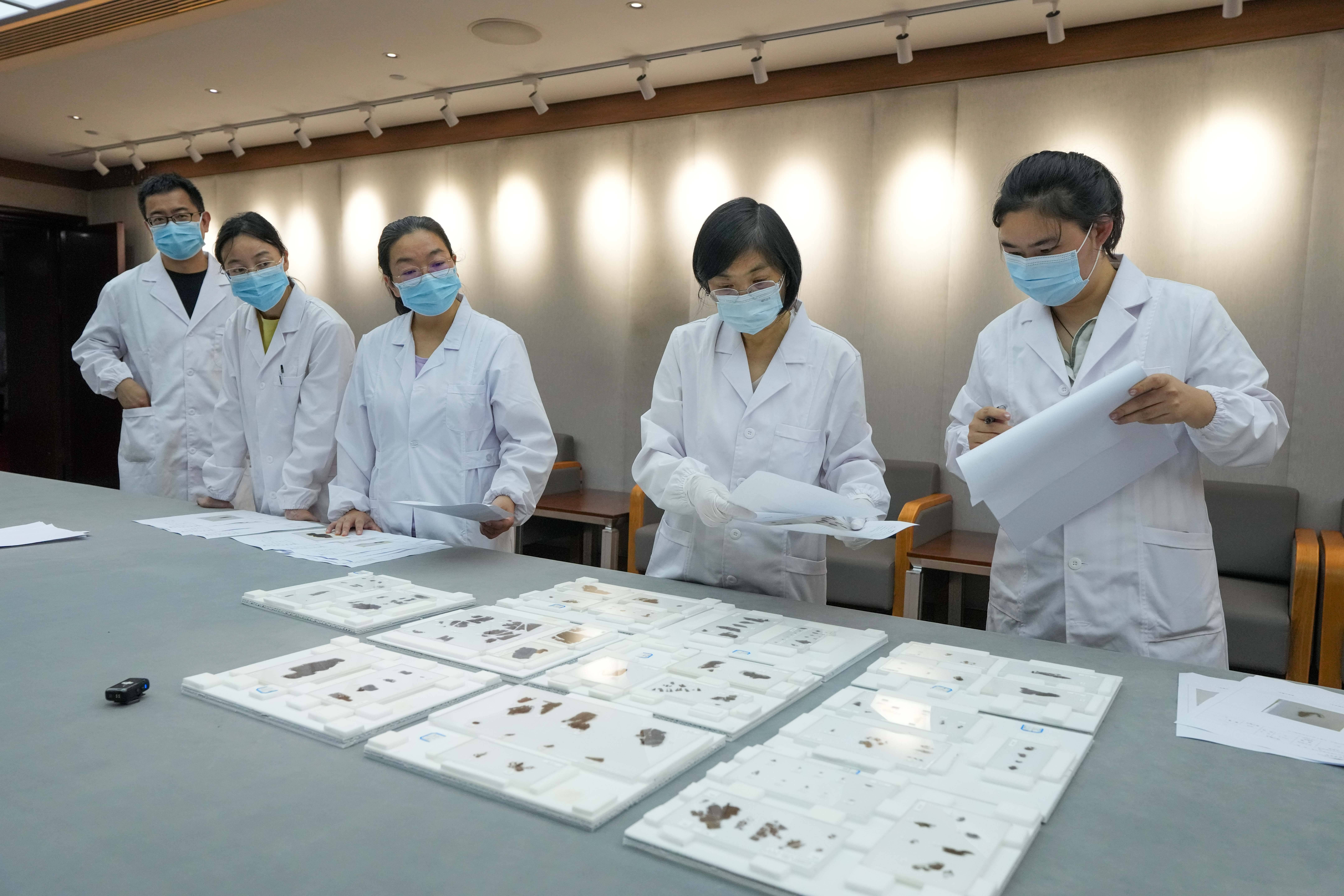 子弹库战国帛书正式入藏湖南省博物馆