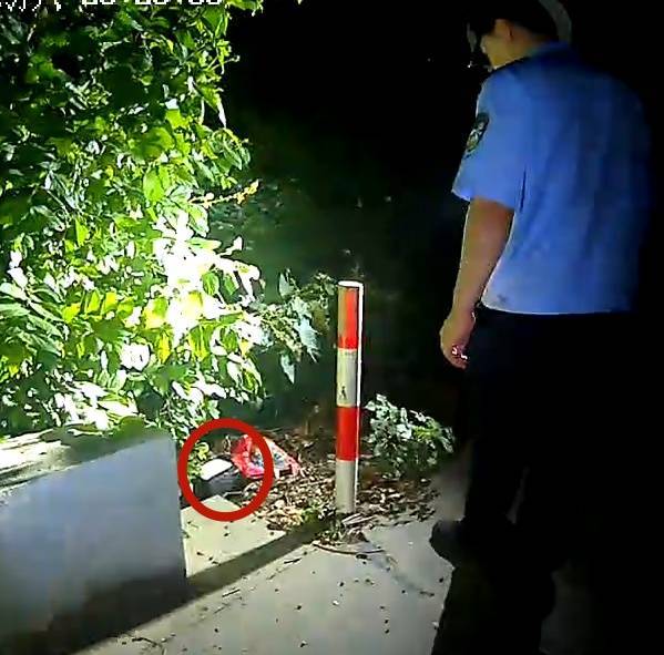 浙江一姑娘以奶茶为记号<strong></p>
<p>美股交易室</strong>，竟然在草丛里藏了11万现金！