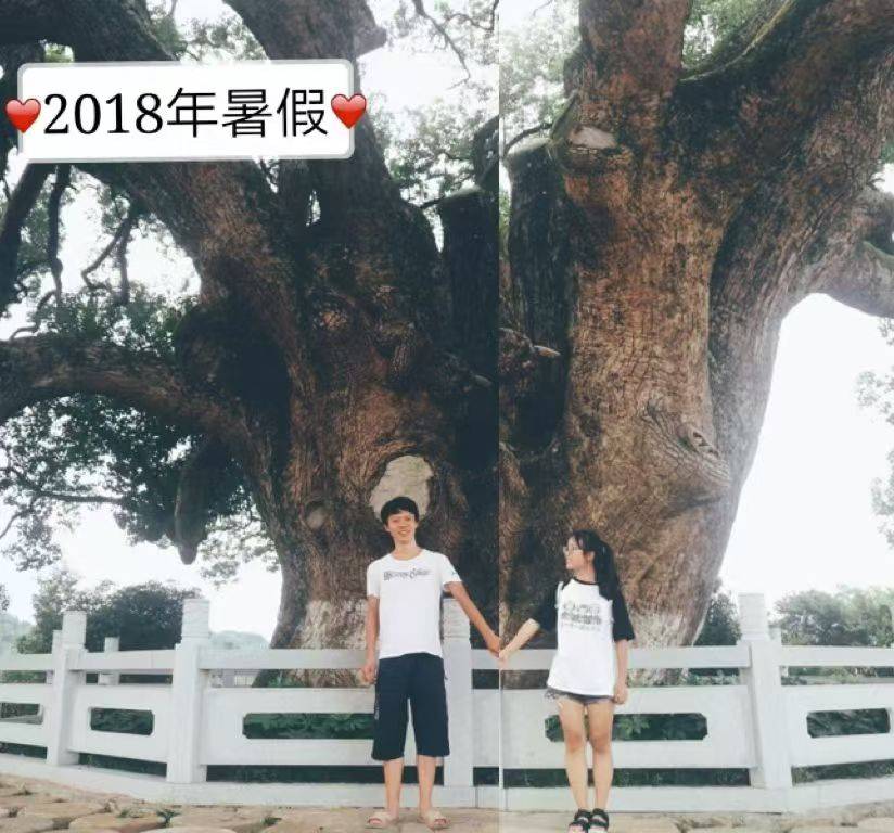 岳阳情侣连续9年在家乡千年古樟树下合影<strong></p>
<p>黄金趋势</strong>，今年国庆终修正果：希望爱情像古树一样长久
