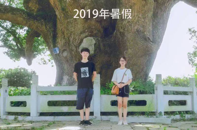 岳阳情侣连续9年在家乡千年古樟树下合影<strong></p>
<p>黄金趋势</strong>，今年国庆终修正果：希望爱情像古树一样长久