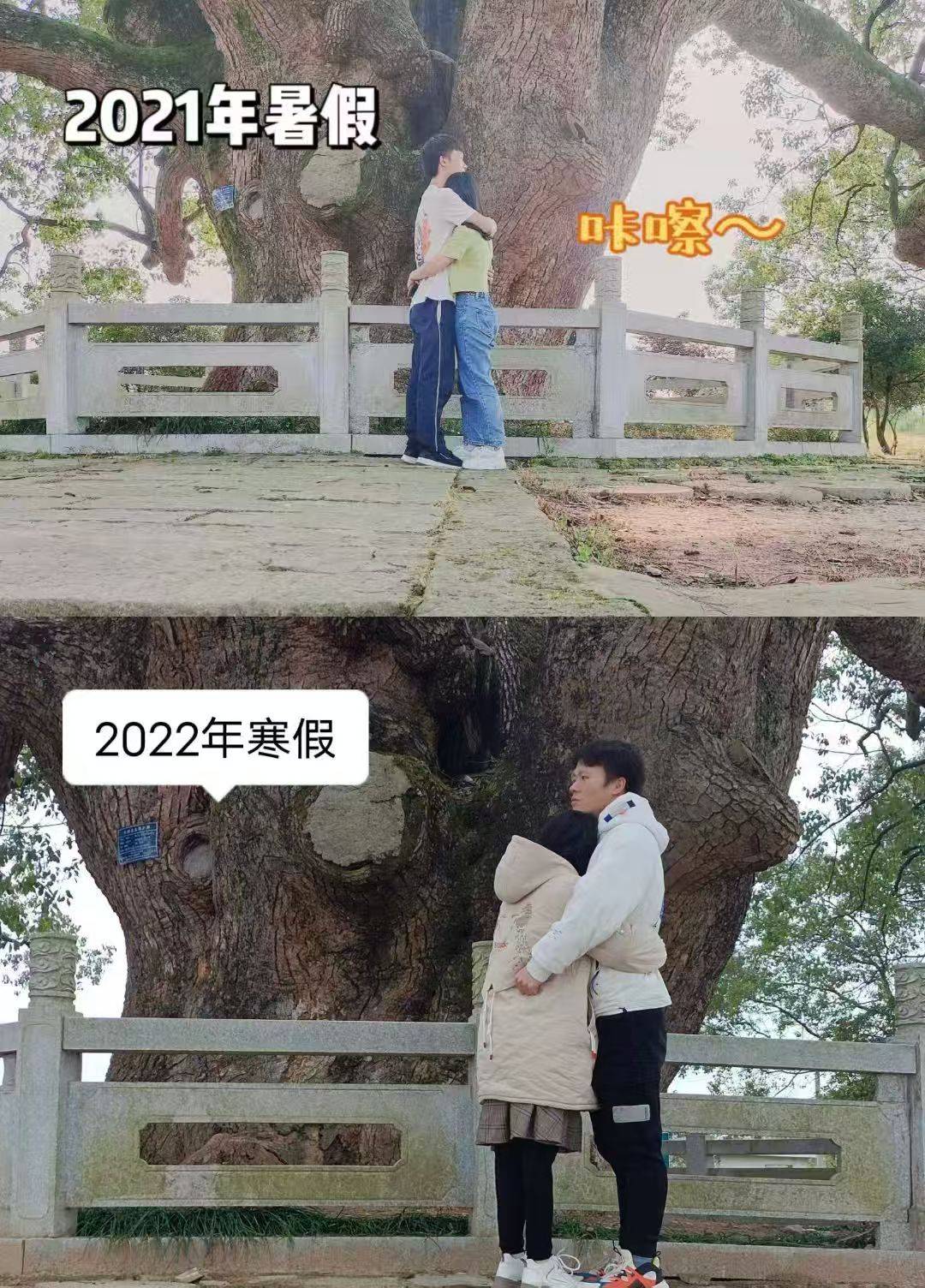 岳阳情侣连续9年在家乡千年古樟树下合影<strong></p>
<p>黄金趋势</strong>，今年国庆终修正果：希望爱情像古树一样长久