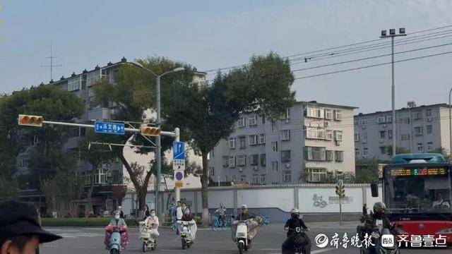 济南街头“恐龙树”走红<strong></p>
<p>黄金趋势</strong>，园林部门：形态天成，或随天气而变