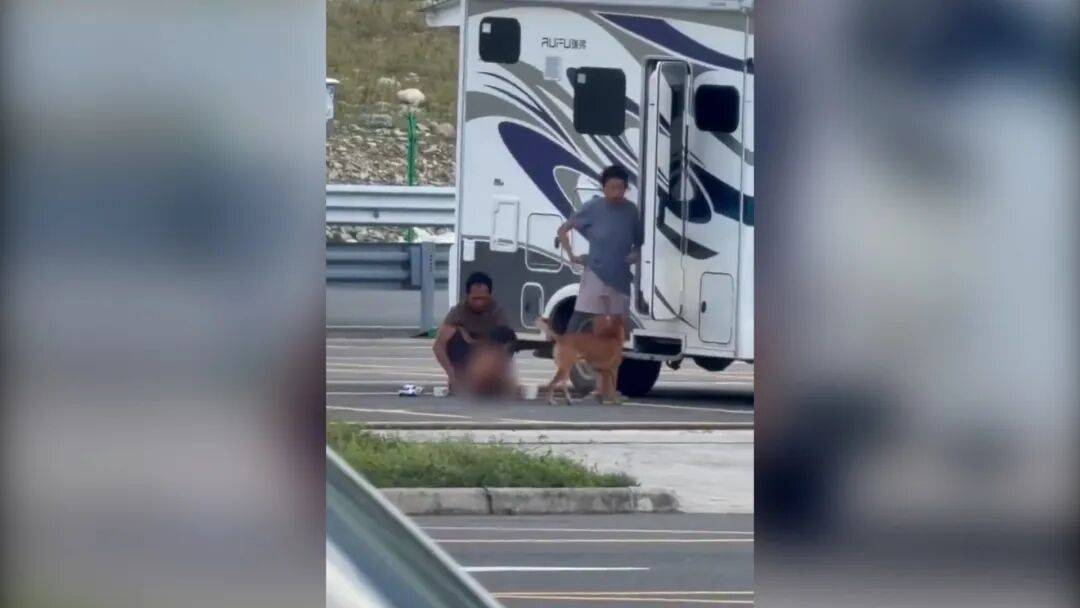 村民：“野人小孩”父亲上山“灵修”后就不正常<strong></p>
<p>股票</strong>了