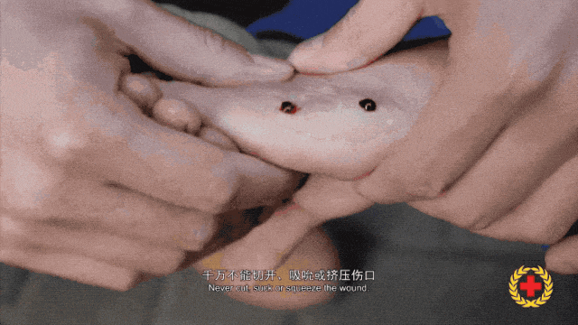 女子半夜上厕所<strong></p>
<p>股票</strong>，马桶里突然窜出一条蛇！