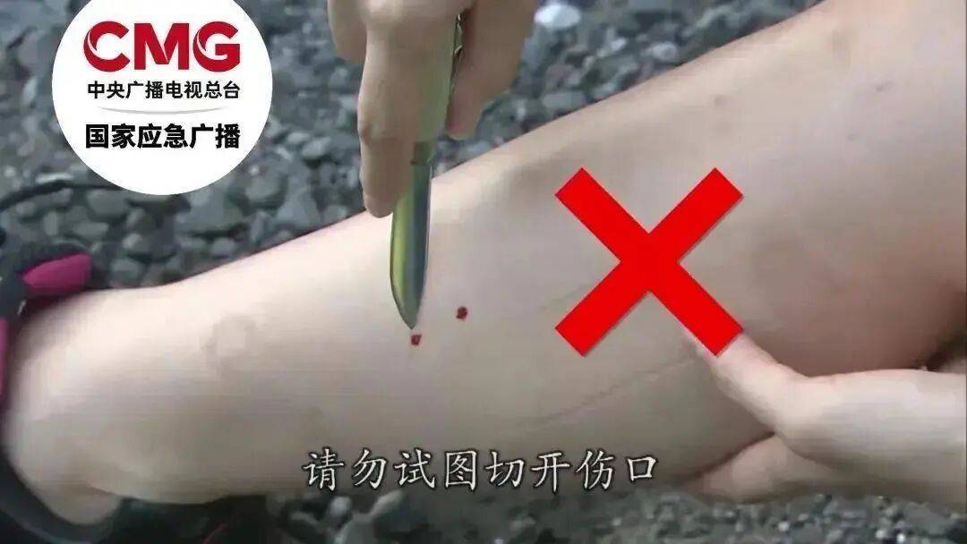 女子半夜上厕所<strong></p>
<p>股票</strong>，马桶里突然窜出一条蛇！