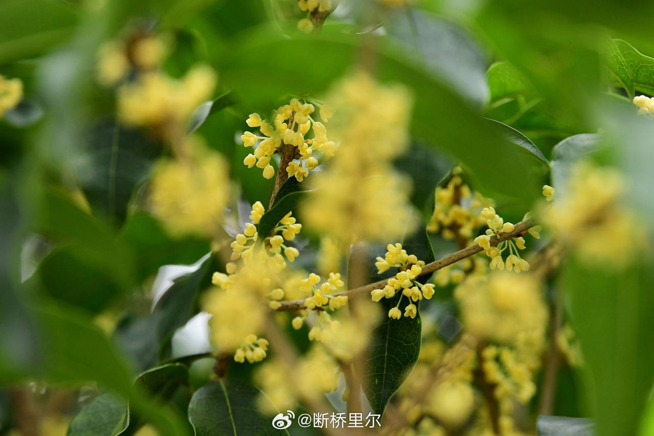 浙江气温还将创新低！明天起有大反转<strong></p>
<p>股票行情</strong>，温差10℃+