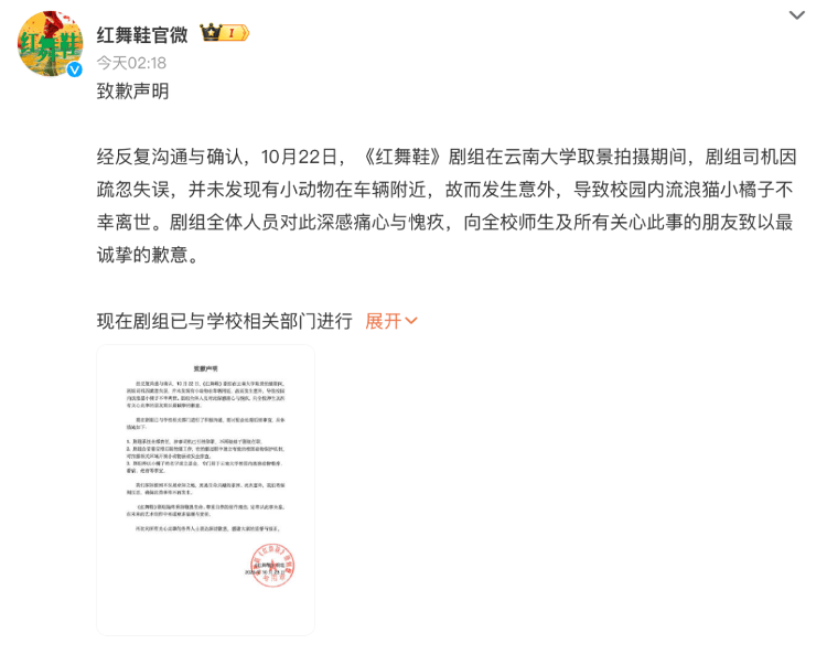《红舞鞋》剧组高校内拍摄时撞死流浪猫<strong></p>
<p>小米股票</strong>？凌晨致歉：涉事司机引咎辞职